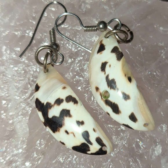 West Indian Magpie shell earrings - handmade in the Caribbean - Picture 8 of 14